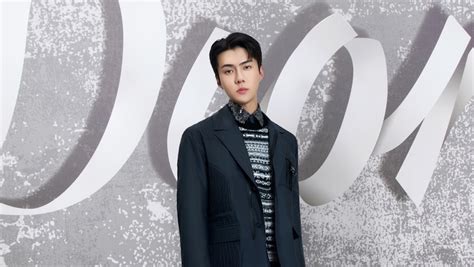 sehun dior global ambassador|dior show in seoul.